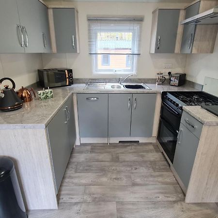 The Ceredigion - Plot 26, Woodlands Lodge Retreat, New Quay, West Wales Llanina Extérieur photo